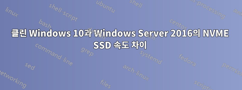 클린 Windows 10과 Windows Server 2016의 NVME SSD 속도 차이