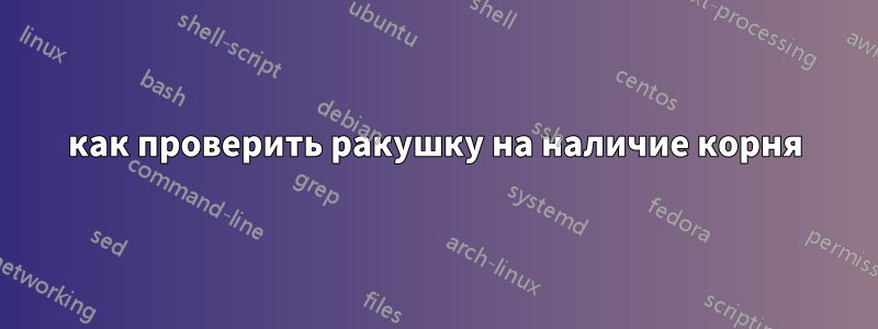 как проверить ракушку на наличие корня