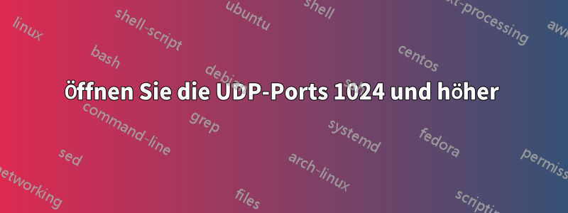 Öffnen Sie die UDP-Ports 1024 und höher