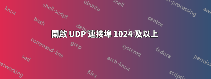 開啟 UDP 連接埠 1024 及以上
