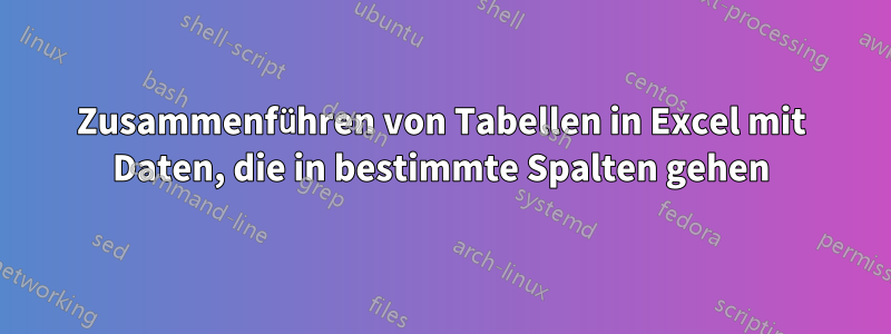 Zusammenführen von Tabellen in Excel mit Daten, die in bestimmte Spalten gehen
