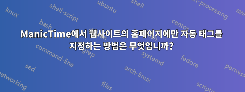 ManicTime에서 웹사이트의 홈페이지에만 자동 태그를 지정하는 방법은 무엇입니까?