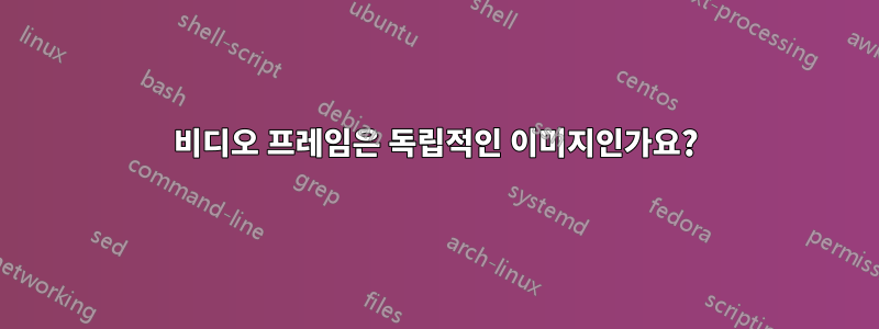 비디오 프레임은 독립적인 이미지인가요?