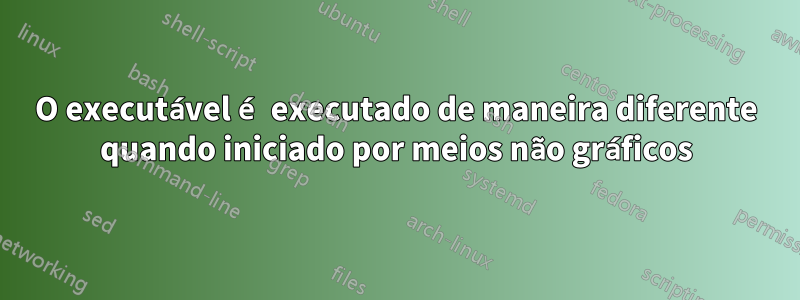 O executável é executado de maneira diferente quando iniciado por meios não gráficos