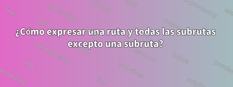 ¿Cómo expresar una ruta y todas las subrutas excepto una subruta?