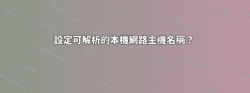 設定可解析的本機網路主機名稱？