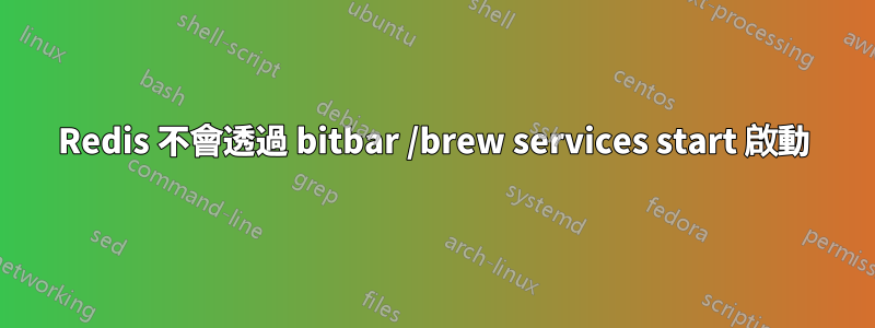 Redis 不會透過 bitbar /brew services start 啟動