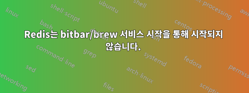 Redis는 bitbar/brew 서비스 시작을 통해 시작되지 않습니다.