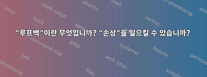"루프백"이란 무엇입니까? "손상"을 일으킬 수 있습니까?
