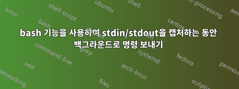 bash 기능을 사용하여 stdin/stdout을 캡처하는 동안 백그라운드로 명령 보내기