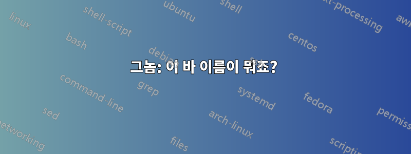 그놈: 이 바 이름이 뭐죠?