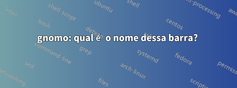 gnomo: qual é o nome dessa barra?