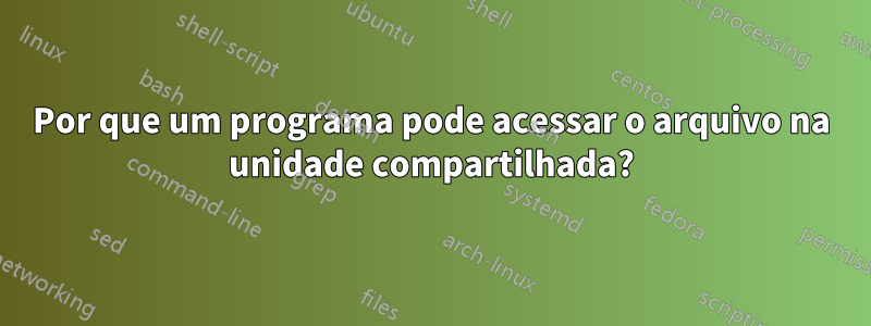 Por que um programa pode acessar o arquivo na unidade compartilhada?