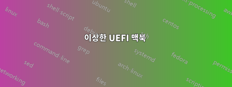 이상한 UEFI 맥북