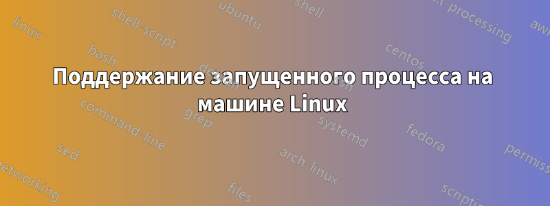 Поддержание запущенного процесса на машине Linux