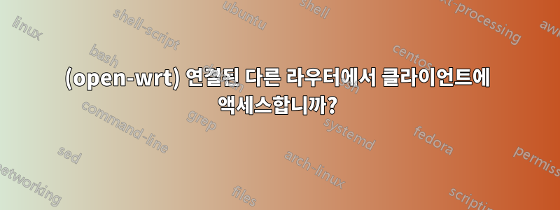 (open-wrt) 연결된 다른 라우터에서 클라이언트에 액세스합니까?