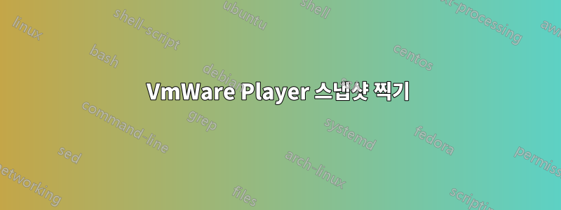 VmWare Player 스냅샷 찍기