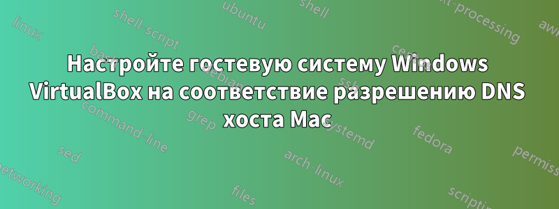 Настройте гостевую систему Windows VirtualBox на соответствие разрешению DNS хоста Mac