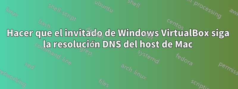 Hacer que el invitado de Windows VirtualBox siga la resolución DNS del host de Mac