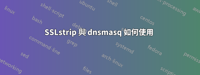 SSLstrip 與 dnsmasq 如何使用