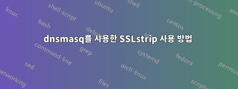 dnsmasq를 사용한 SSLstrip 사용 방법