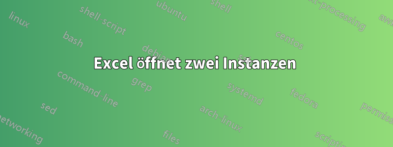 Excel öffnet zwei Instanzen