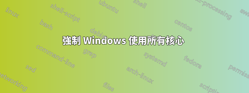 強制 Windows 使用所有核心