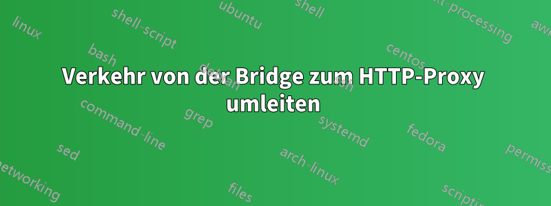 Verkehr von der Bridge zum HTTP-Proxy umleiten