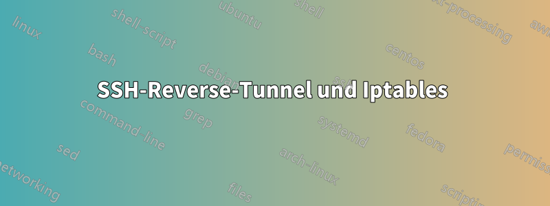 SSH-Reverse-Tunnel und Iptables