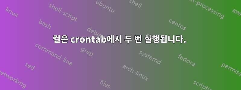 컬은 crontab에서 두 번 실행됩니다.