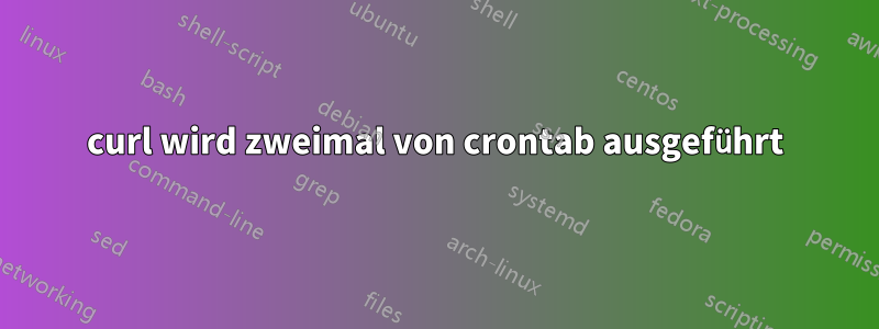 curl wird zweimal von crontab ausgeführt