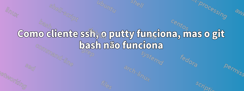 Como cliente ssh, o putty funciona, mas o git bash não funciona