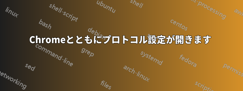 Chromeとともにプロトコル設定が開きます