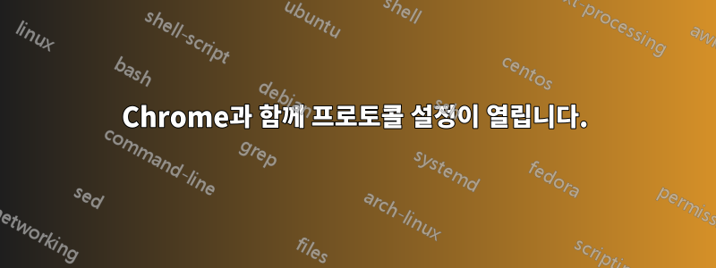 Chrome과 함께 프로토콜 설정이 열립니다.