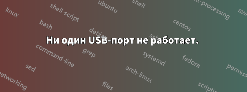 Ни один USB-порт не работает.