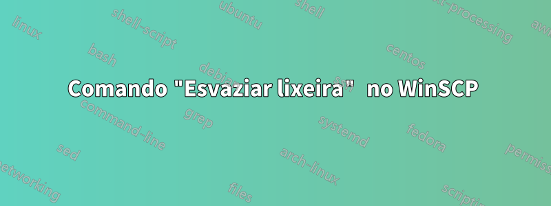 Comando "Esvaziar lixeira" no WinSCP