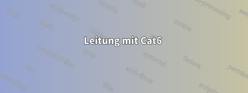 Leitung mit Cat6