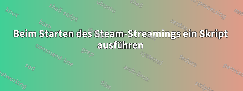 Beim Starten des Steam-Streamings ein Skript ausführen