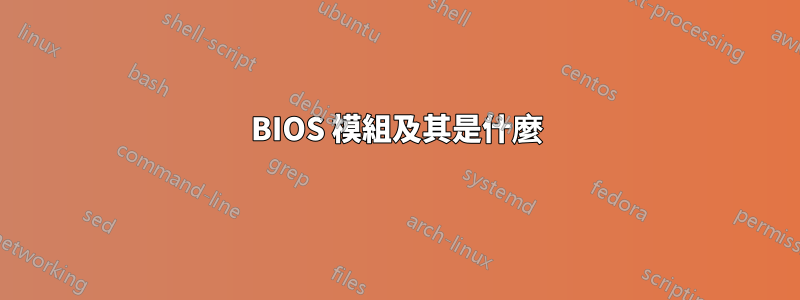 BIOS 模組及其是什麼