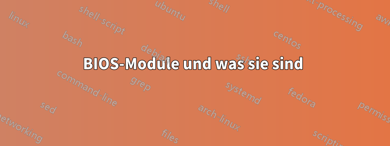 BIOS-Module und was sie sind