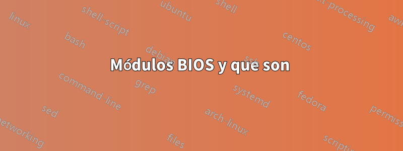 Módulos BIOS y que son