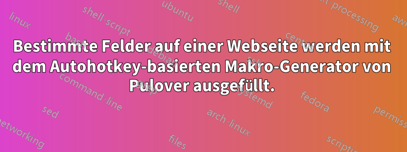 Bestimmte Felder auf einer Webseite werden mit dem Autohotkey-basierten Makro-Generator von Pulover ausgefüllt.