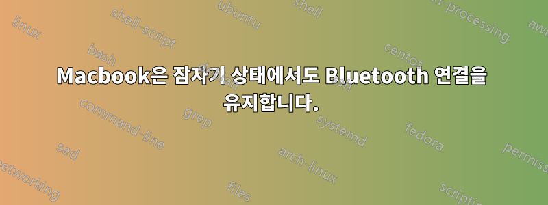 Macbook은 잠자기 상태에서도 Bluetooth 연결을 유지합니다.