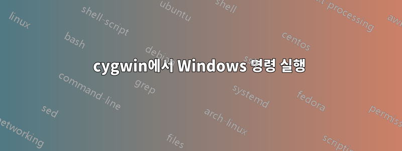 cygwin에서 Windows 명령 실행