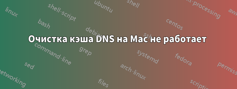 Очистка кэша DNS на Mac не работает