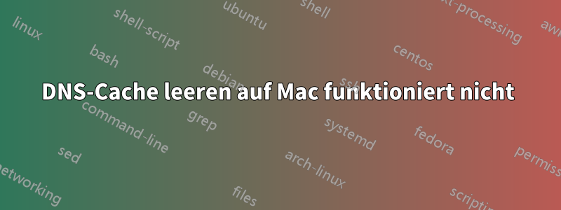 DNS-Cache leeren auf Mac funktioniert nicht