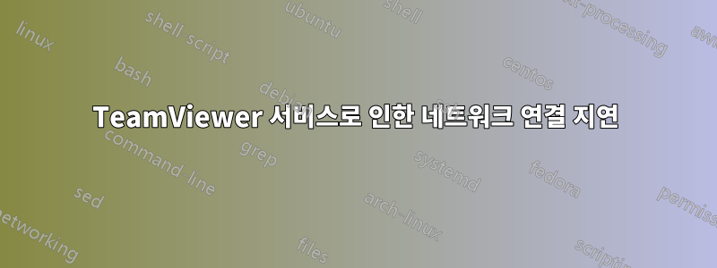 TeamViewer 서비스로 인한 네트워크 연결 지연