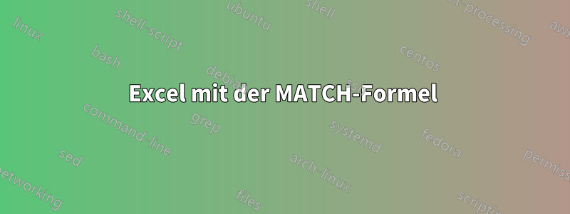 Excel mit der MATCH-Formel