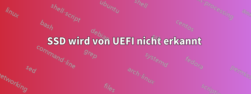 SSD wird von UEFI nicht erkannt