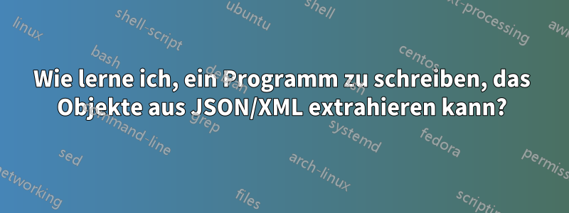 Wie lerne ich, ein Programm zu schreiben, das Objekte aus JSON/XML extrahieren kann?